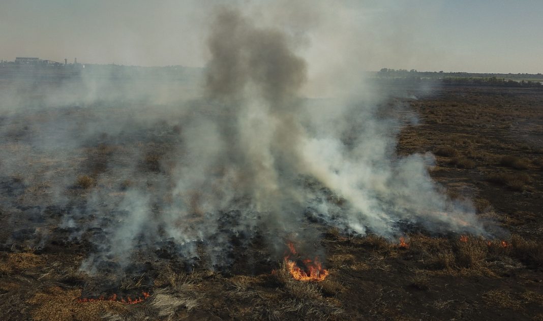 siguen-los-incendios-en-cordoba:-el-viento-complica-el-trabajo-de-los-brigadistas