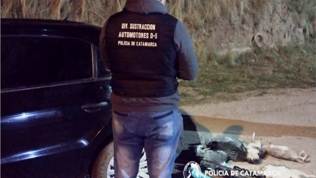 secuestran-ejemplares-de-vizcacha-durante-un-control-vehicular-en-el-puesto-la-atravesada