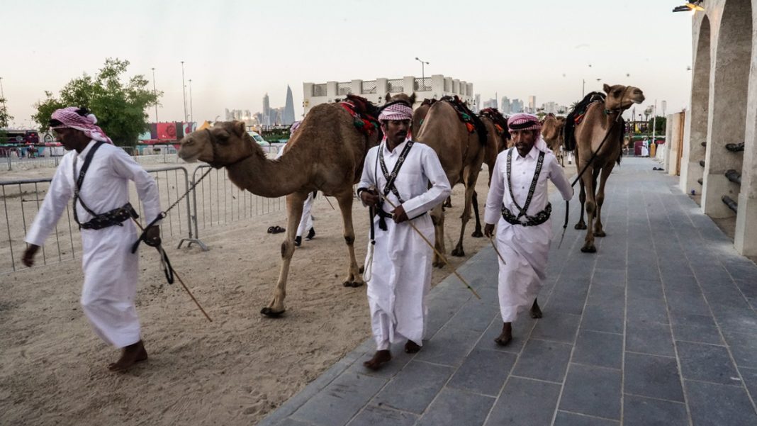 la-guardia-real-de-qatar-patrulla-las-calles-montada-en-camellos